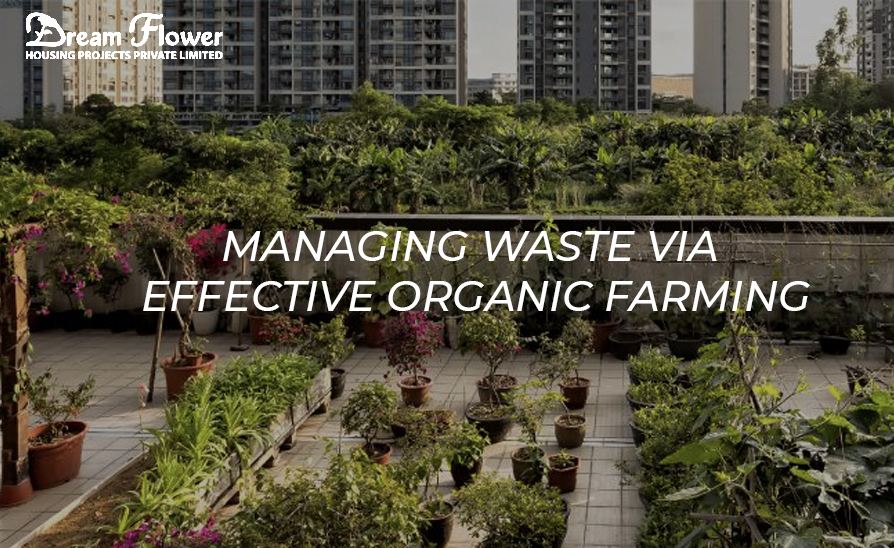 Managing Waste via effective organic farming